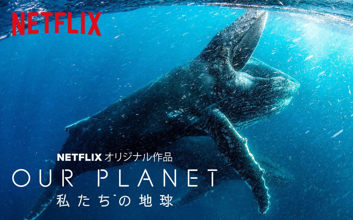 [图]我们的星球 Our Planet (2019) 预告