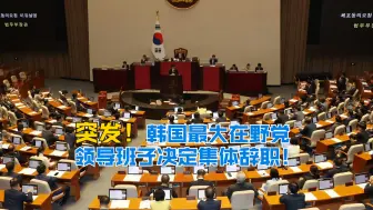 Télécharger la video: 突发！韩国最大在野党领导班子决定集体辞职！