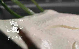 Tải video: 【来宵夜吧】看点24：豆花烤鱼