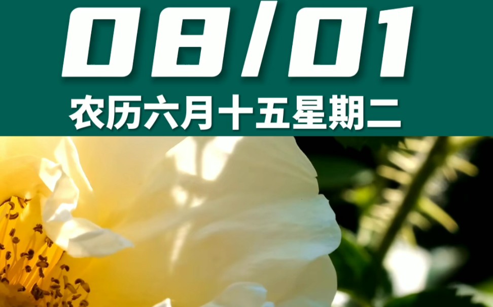 早上好啊今天是2023年8月1日星期二 狮子座农历六月十五 辛卯日十二建除的成日 天德黄道日,喜神在西南 财神在正东幸运数字:1、4哔哩哔哩bilibili