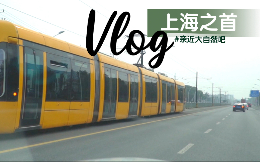 追逐松江有轨电车,游玩上海浦江之首Vlog哔哩哔哩bilibili