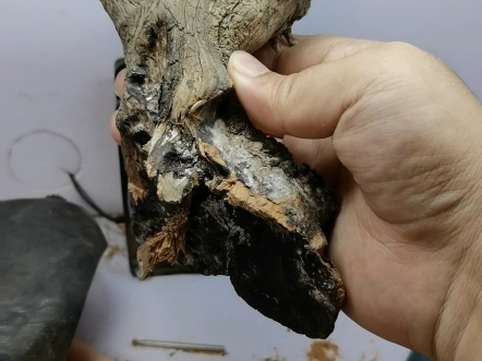 [手搓弹弓]崖柏弹弓