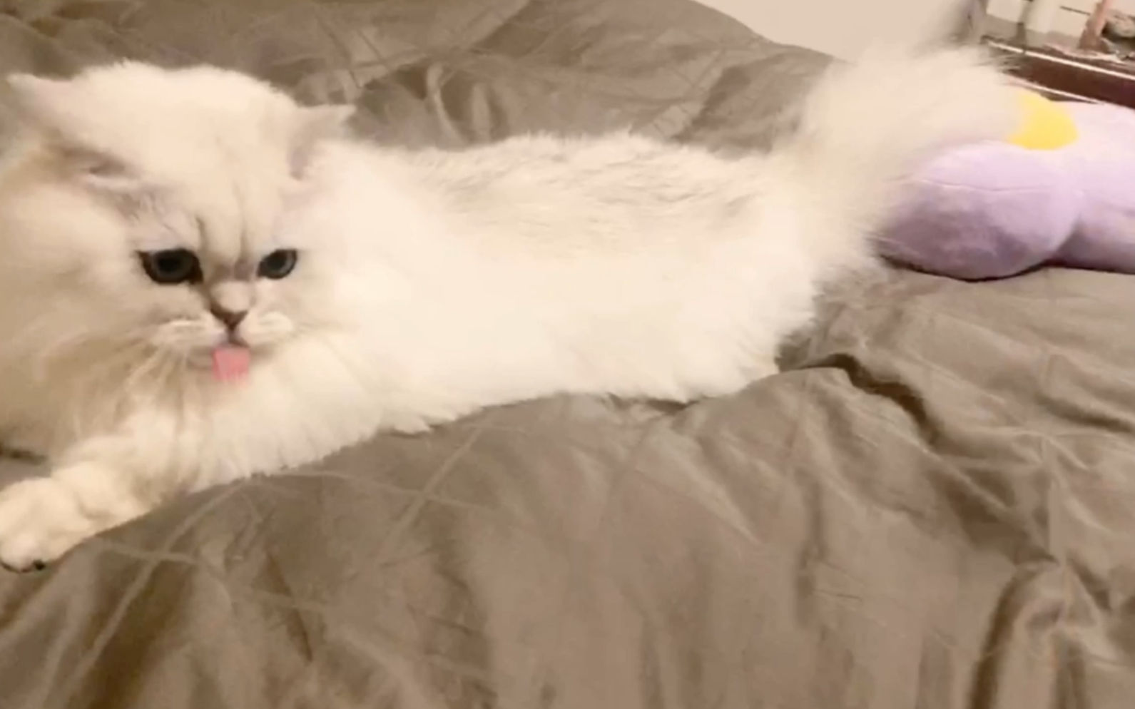 花少北1010和米米玩