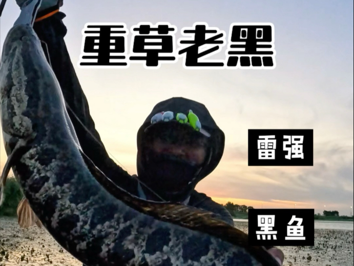 现在的我强的可怕-全能小师--全能小师--哔哩哔哩视频