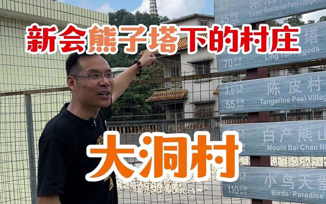 新会熊子塔下的村庄大洞村#新会陈皮#陈皮村#老钱陈皮茶