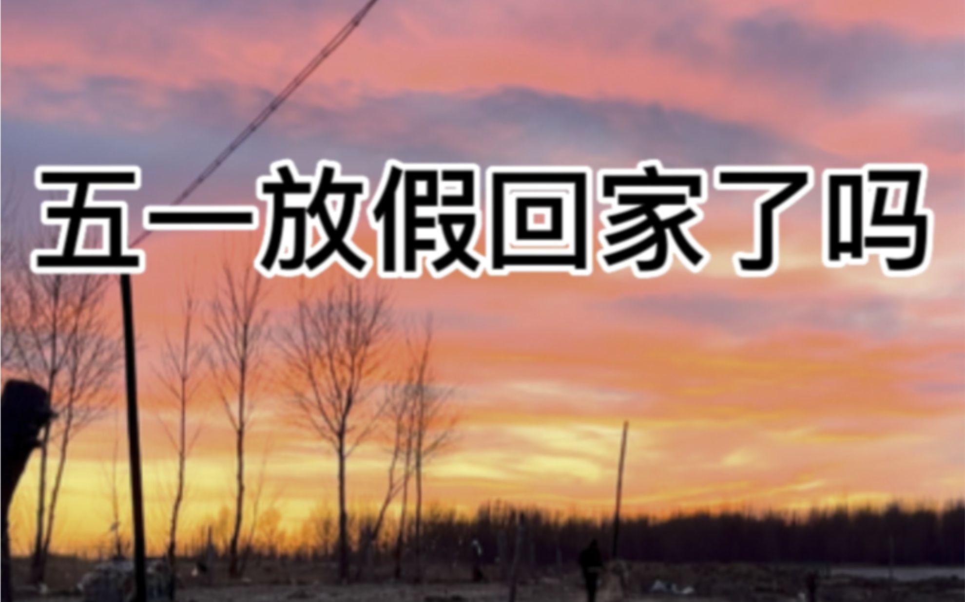 你五一回家了嘛?你回到这个年纪最想做的是什么?