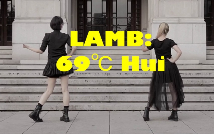 【69度灰】LAMB.哔哩哔哩bilibili