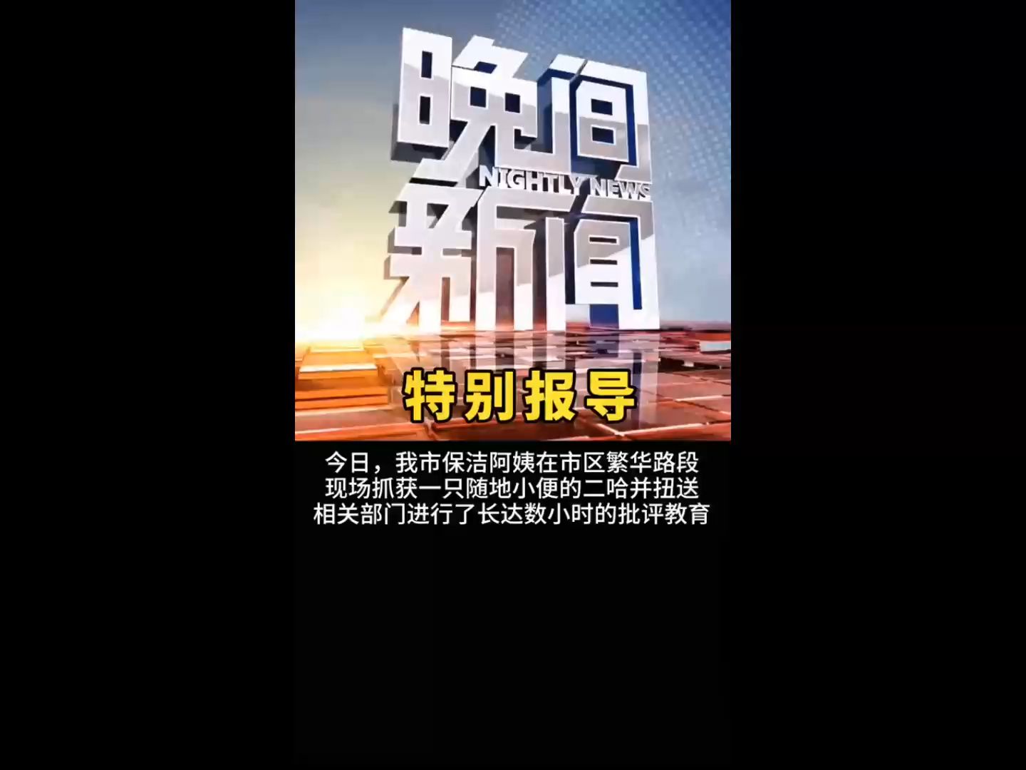 搞笑萌宠成精了晚间新闻特别报导看视频,玩测试,揪出你心中的不快乐