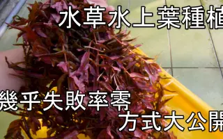 水上葉 搜索结果 哔哩哔哩 Bilibili