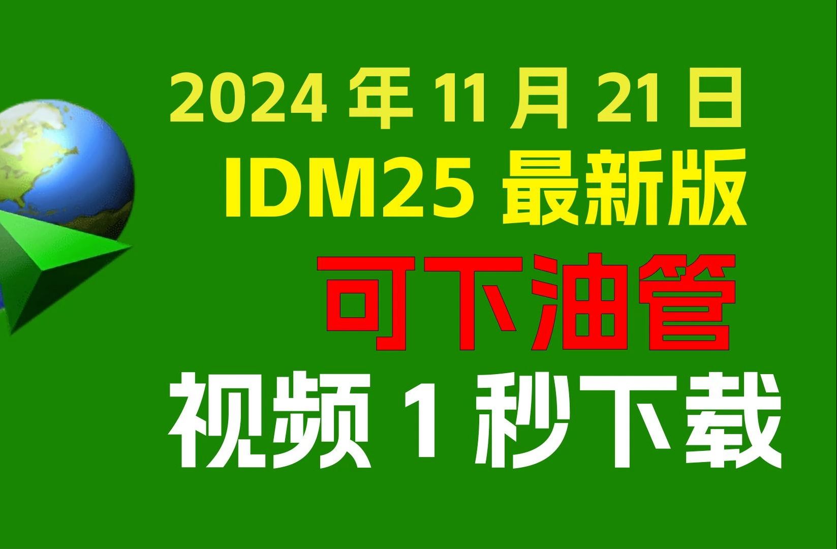 IDM更新了!25版本大幅度优化下载速度,国内外视频秒下载,一键绿色安装哔哩哔哩bilibili