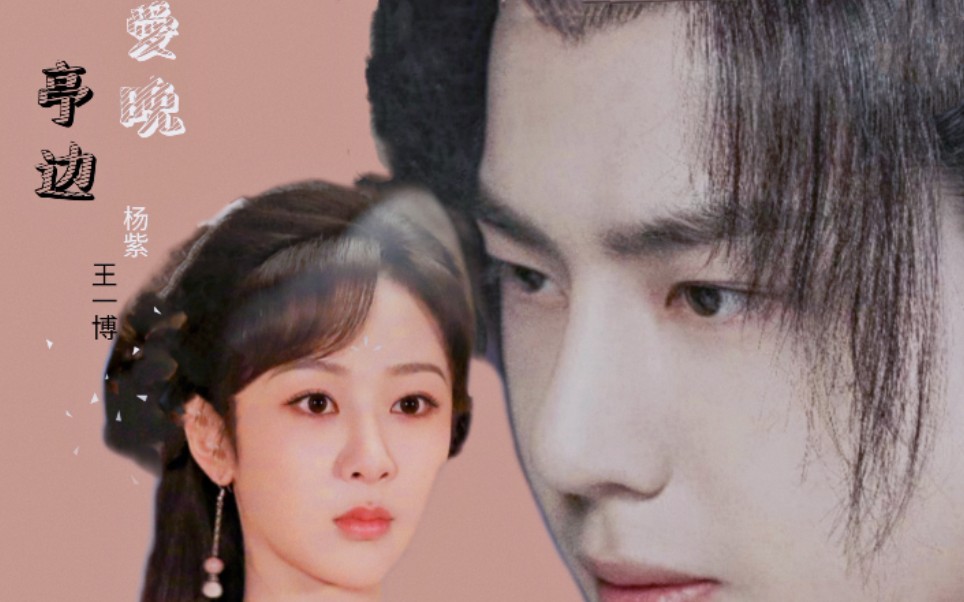 杨紫王一博爱晚亭边我爱你所以我愿意理解你并为你付出我的一切