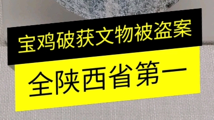 宝鸡馆藏文物很多都是刑警队移交的,宝鸡竟然是陕西省打击文物犯罪第一名哔哩哔哩bilibili