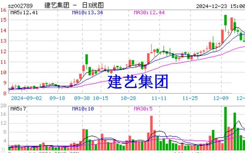 建艺集团信披违规被立案调查,股民索赔已启动哔哩哔哩bilibili