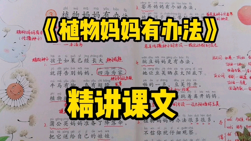 二年级语文上册:精读课文《植物妈妈有办法》,探索大自然中植物的奥秘哔哩哔哩bilibili