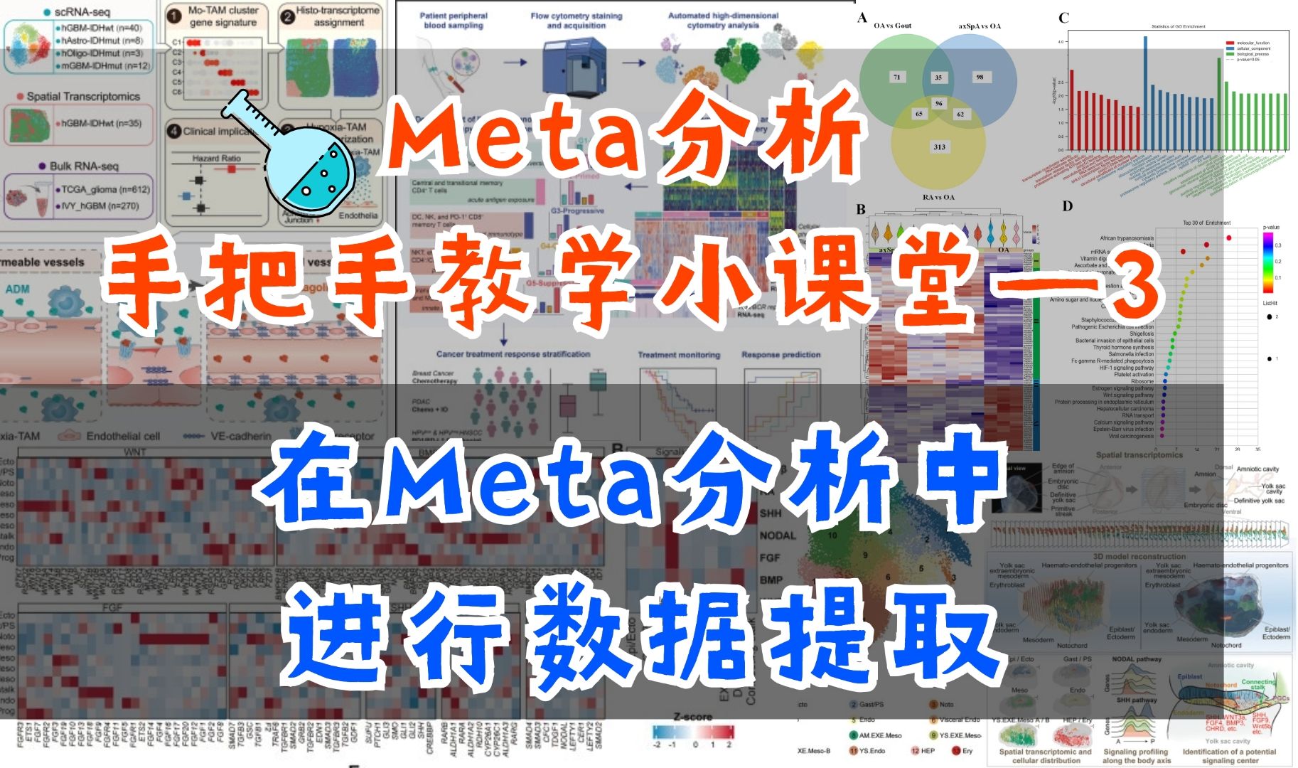 医学生必须要懂的Meta分析技巧!临床鹿的Meta科研小课堂(三):在Meta分析中,如何进行数据提取?哔哩哔哩bilibili