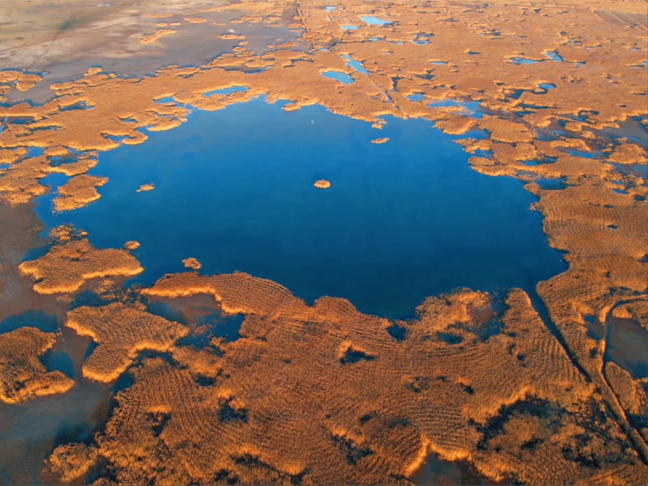 河北沧州南大港成功列入《世界遗产名录》