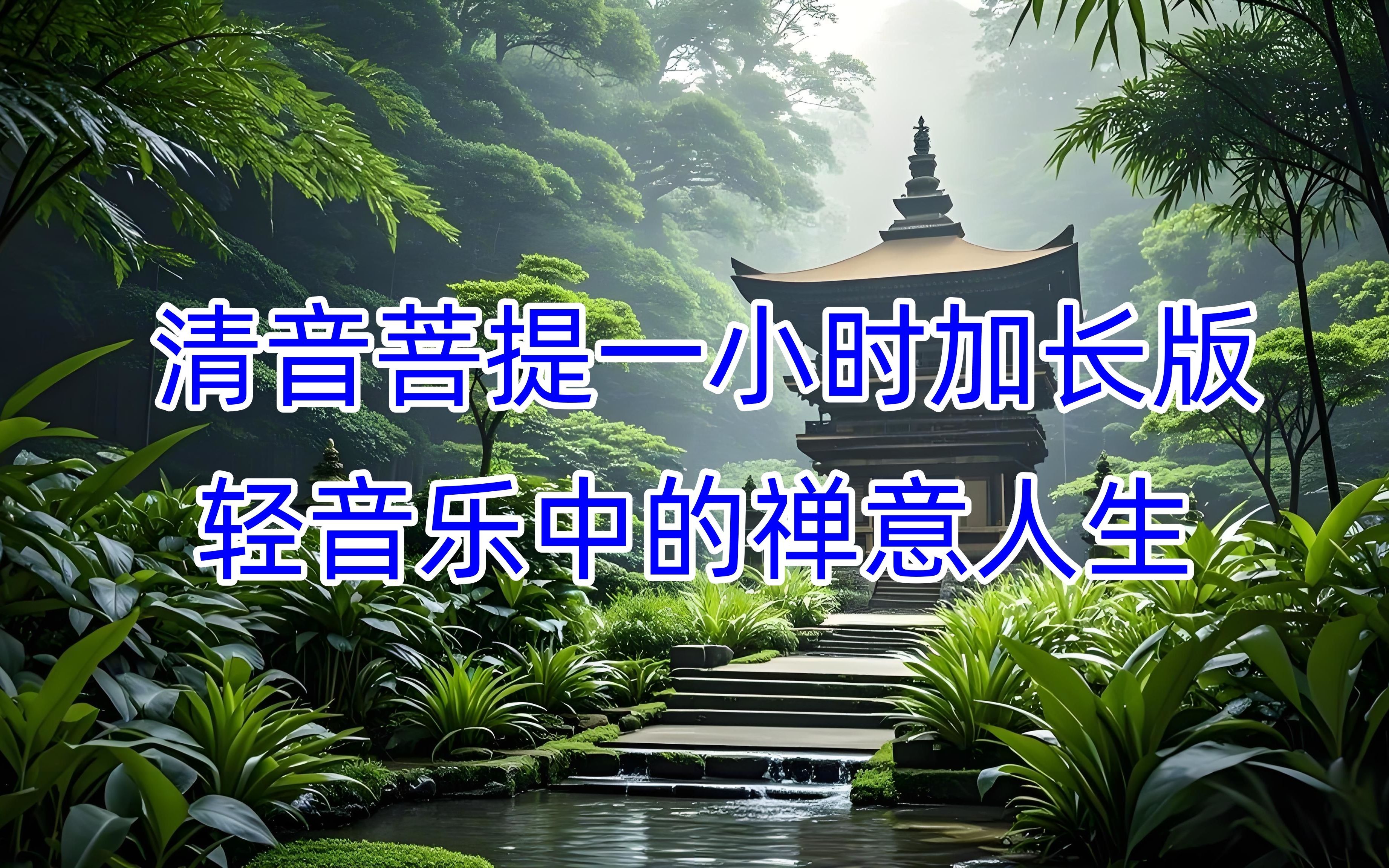 清音菩提一小时加长版,轻音乐中的宁静时光