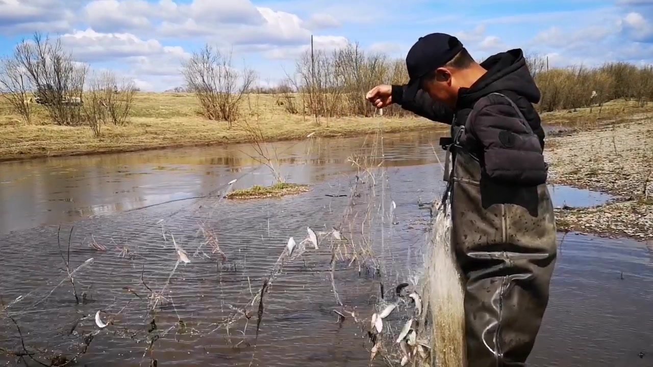 黑龍江收網捕魚半喜半憂啊前半截魚獲滿滿收到後面鬧心了