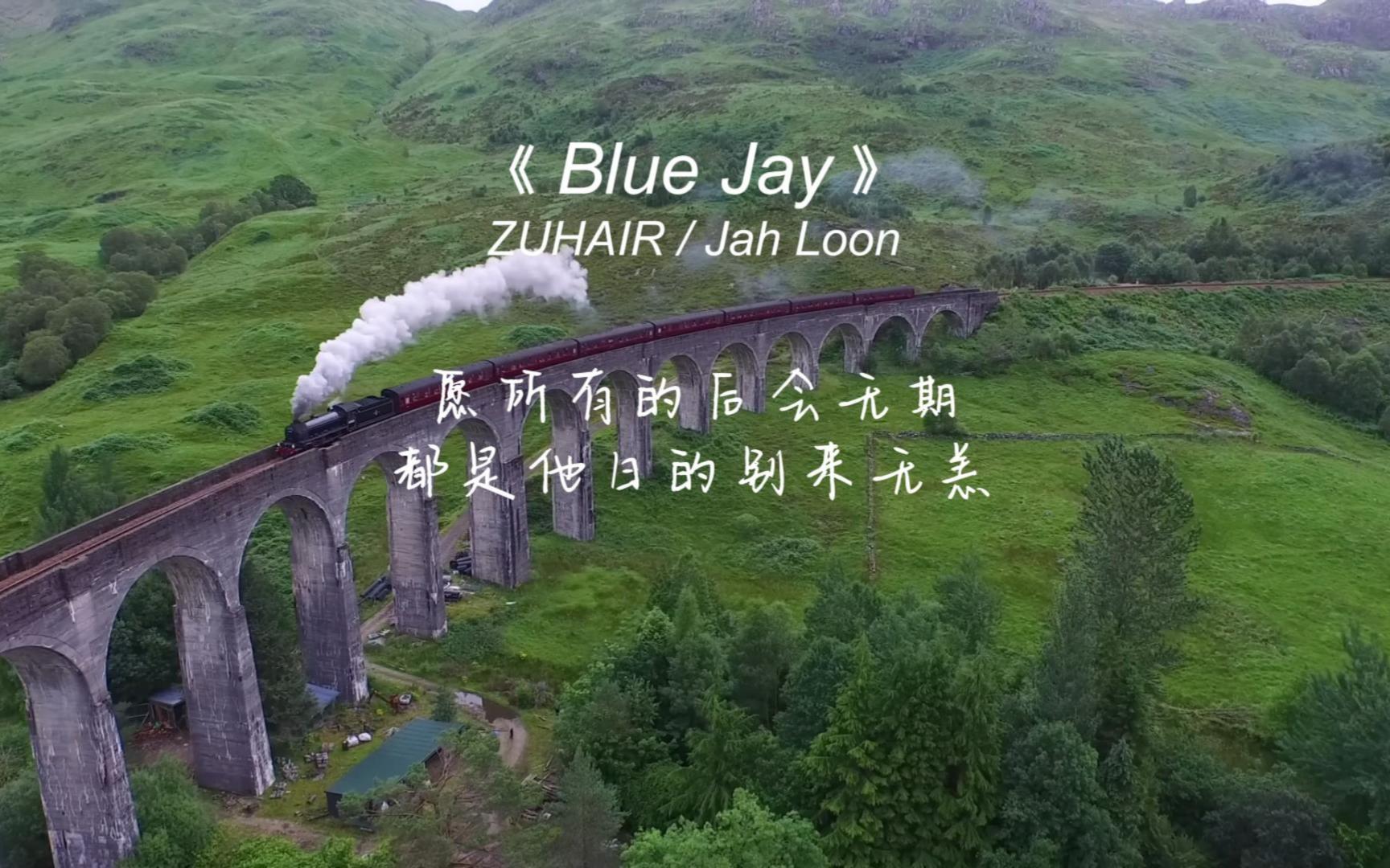 《Blue Jay》蓝色“杰伦”,好温柔已沦陷,太爱这首歌了哔哩哔哩bilibili