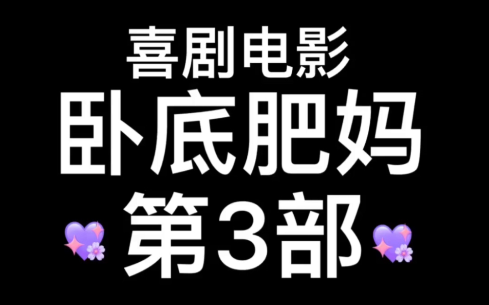 2011年美国电影~卧底肥妈~第3部哔哩哔哩bilibili