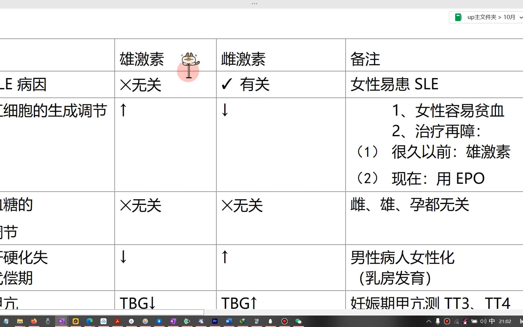 雄激素雌激素生理作用对比哔哩哔哩bilibili