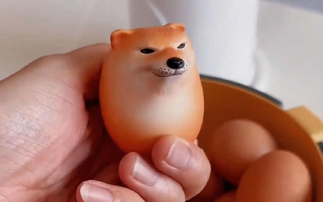 艾特"狗蛋"