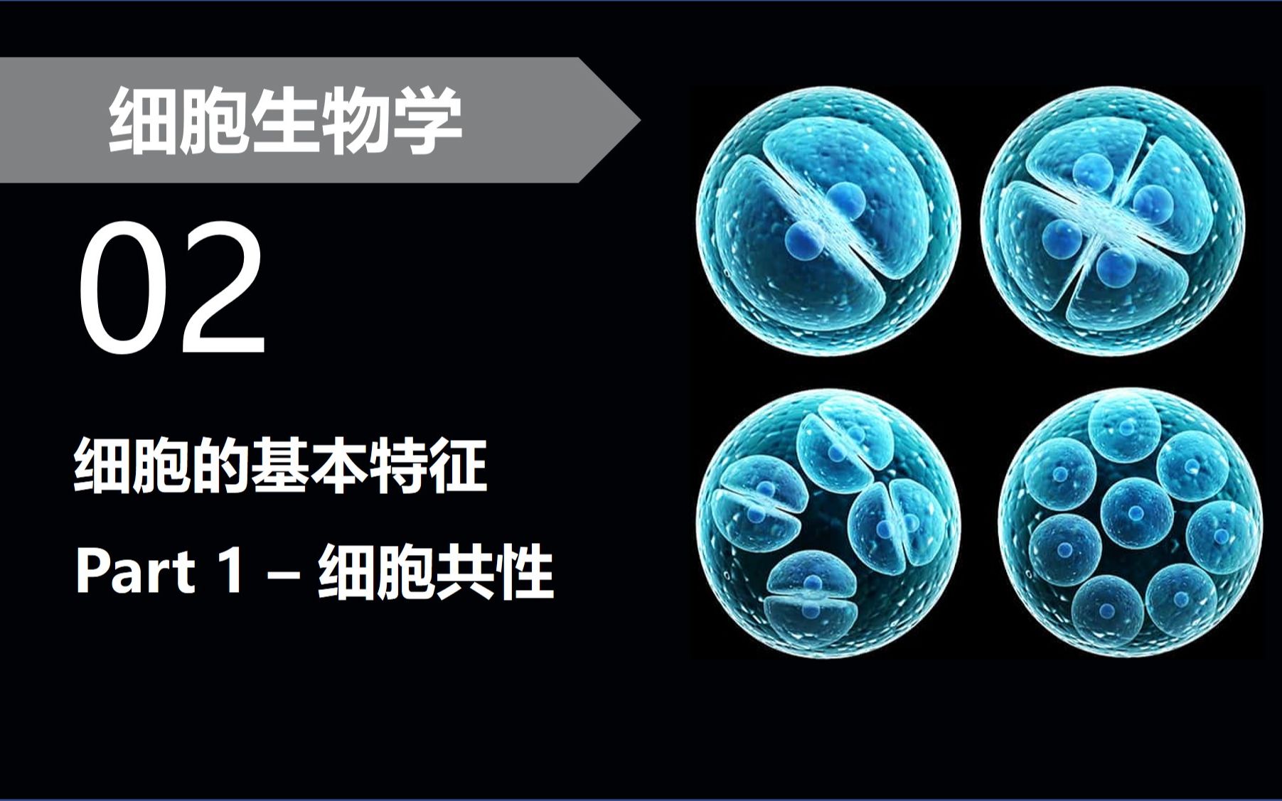 【细胞生物学】021 细胞的基本特征:细胞共性