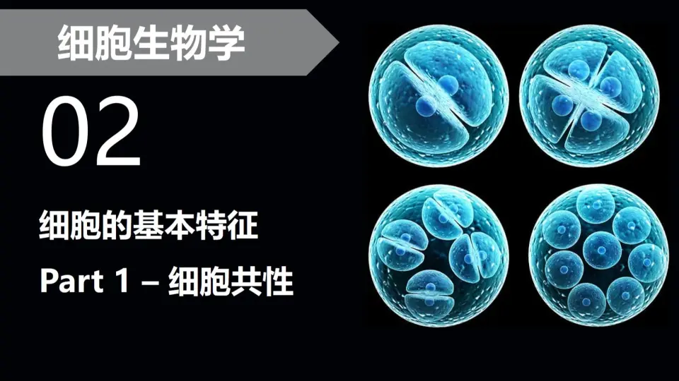 细胞生物学】02.1 细胞的基本特征：细胞共性_哔哩哔哩_bilibili