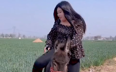 重量级美女乡村小道骑驴