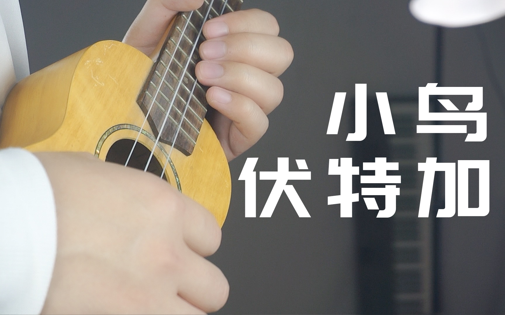 用十几种乐器弹小鸟伏特加各种神奇乐器猜猜有什么