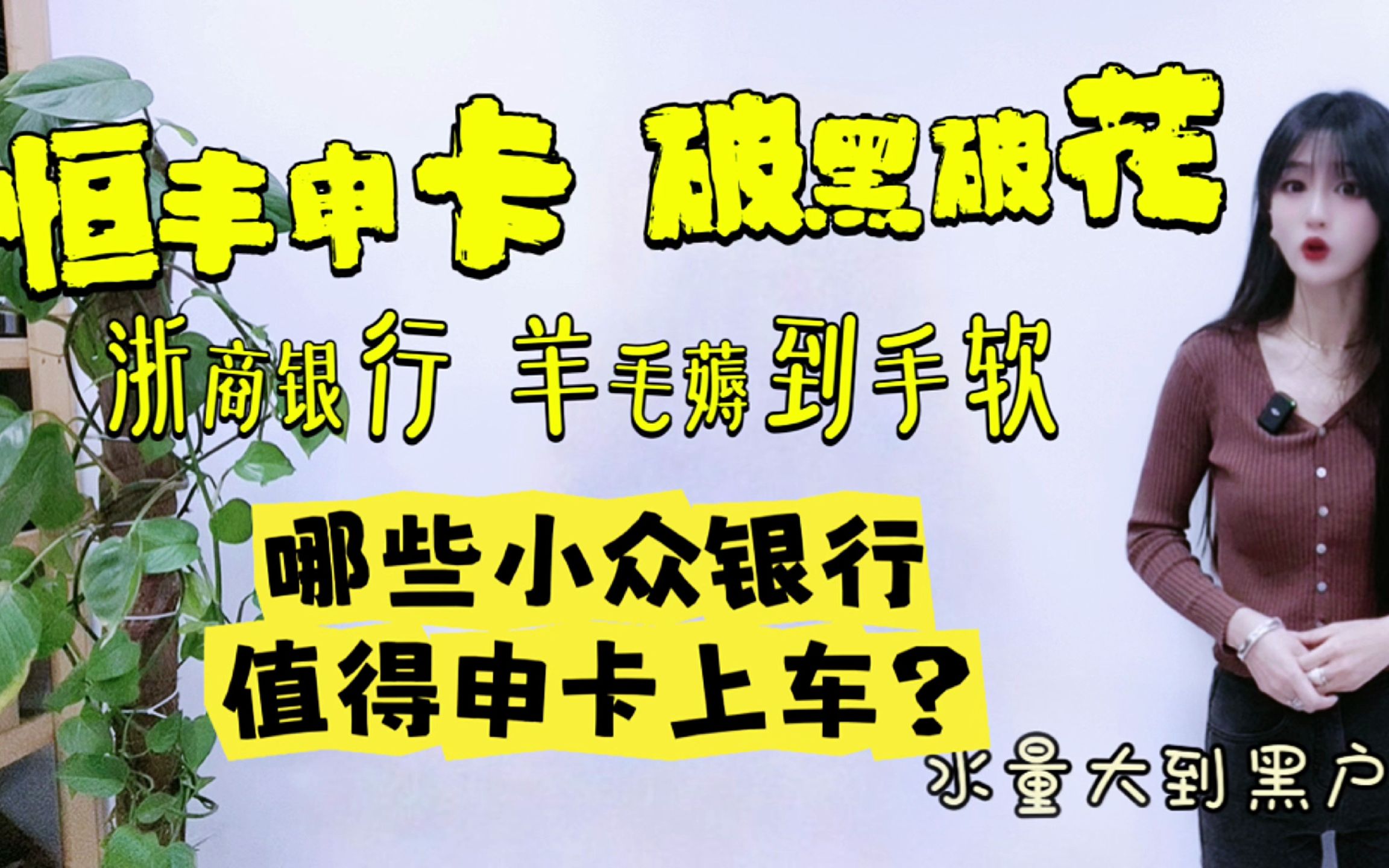 恒丰申卡破黑,浙商银行羊毛薅到手软?哪些小众银行值得申卡?哔哩哔哩bilibili