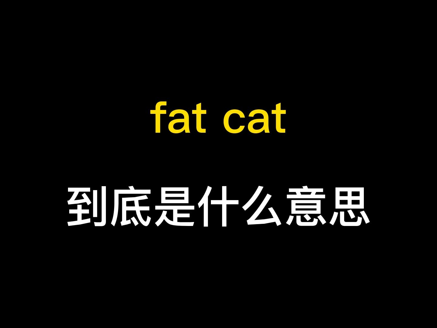 fat cat到底是什么意思?哔哩哔哩bilibili