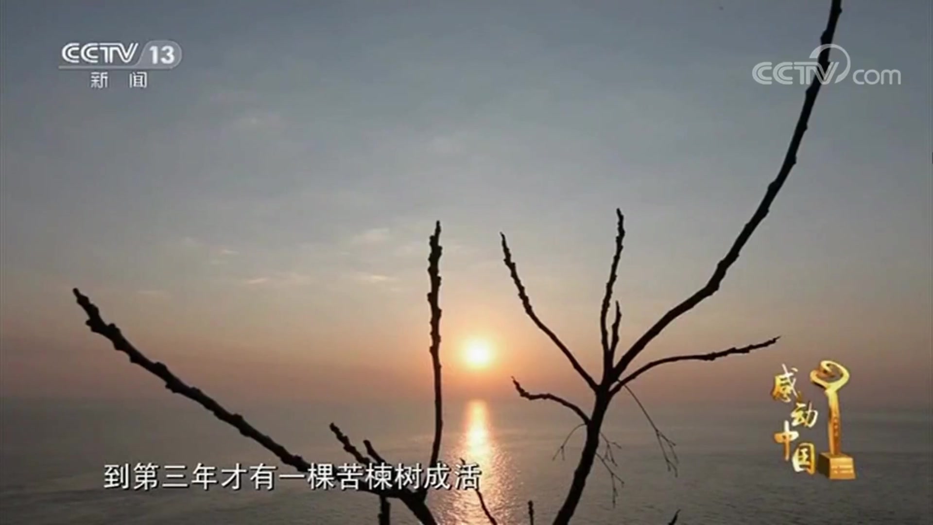 王继才、王仕花《感动中国》哔哩哔哩bilibili