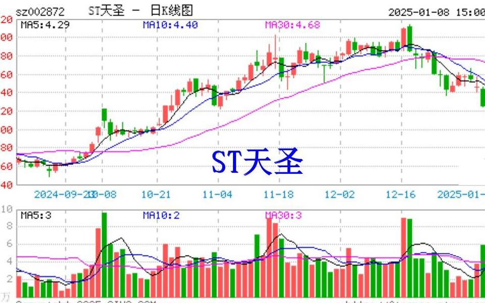 ST天圣及实控人被立案调查,股票索赔已发车哔哩哔哩bilibili