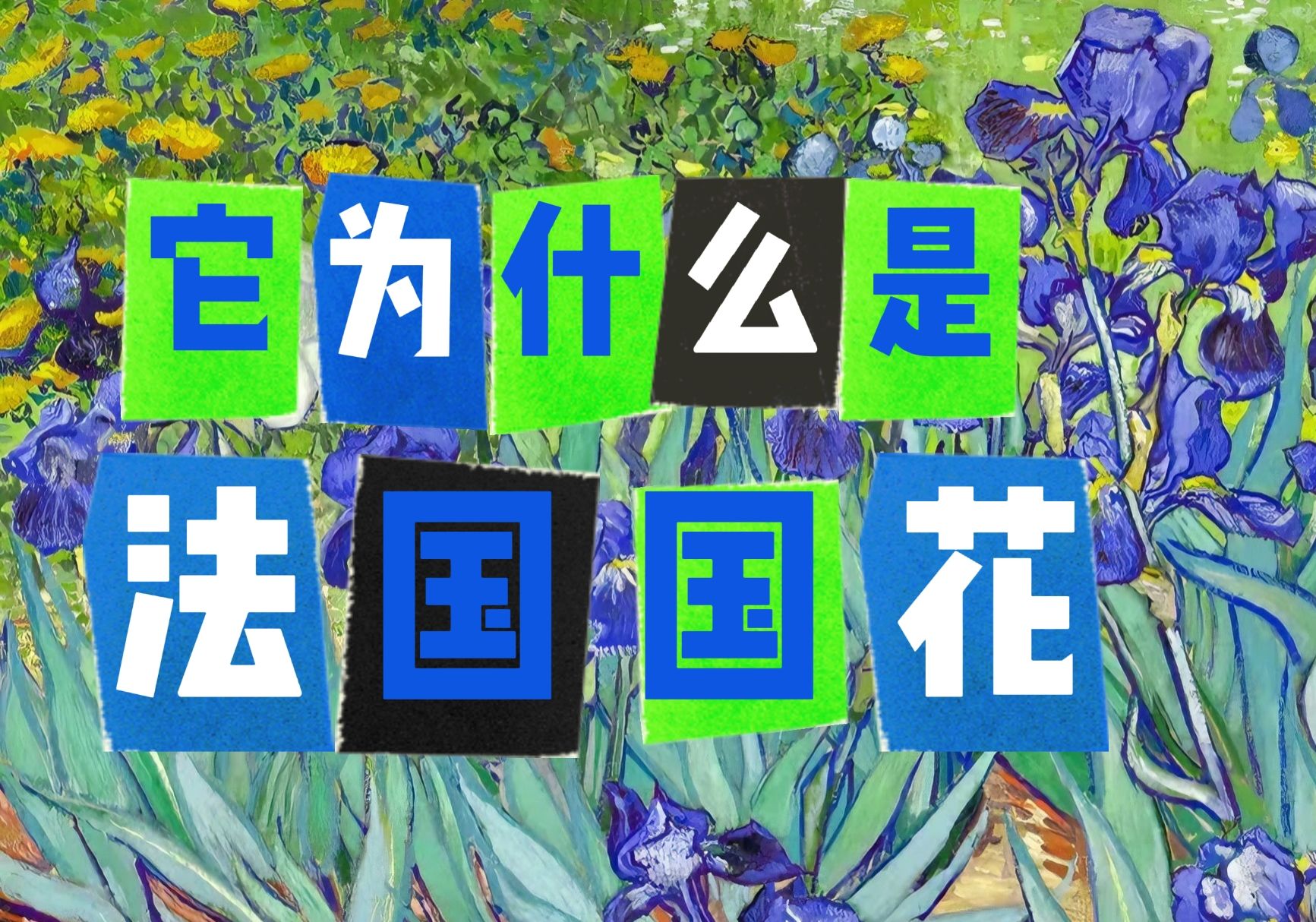 看法国|法国国花:鸢尾花哔哩哔哩bilibili