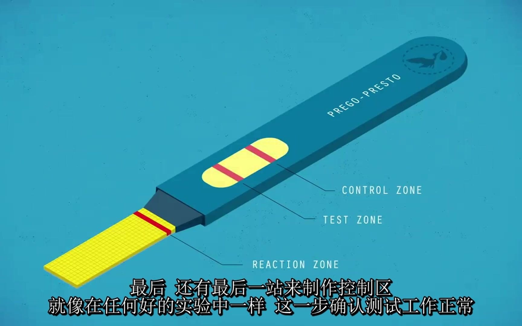 测孕试纸的工作原理,它是如何检测出你体内的小宝宝的?哔哩哔哩bilibili