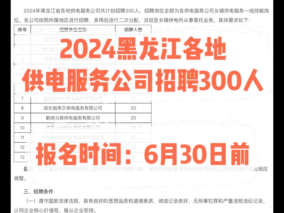 2024黑龙江各地供电服务公司招聘300人.报名时间:6月30日前哔哩哔哩bilibili