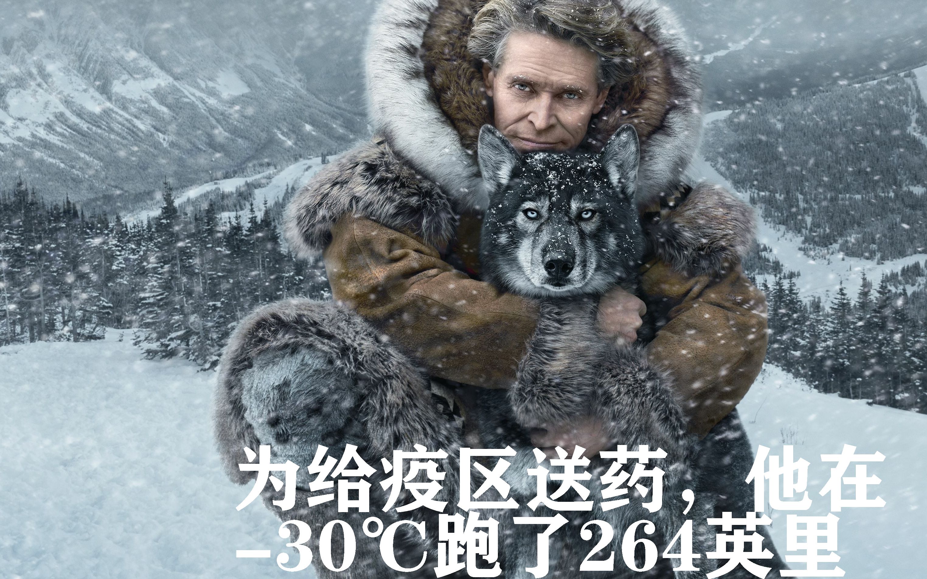 8分的《多哥》:为给疫区送药,他驾雪橇在-30℃跑了264英里,差点冻死