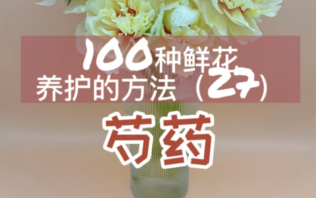 [图]100种鲜花养护方法（27）芍药