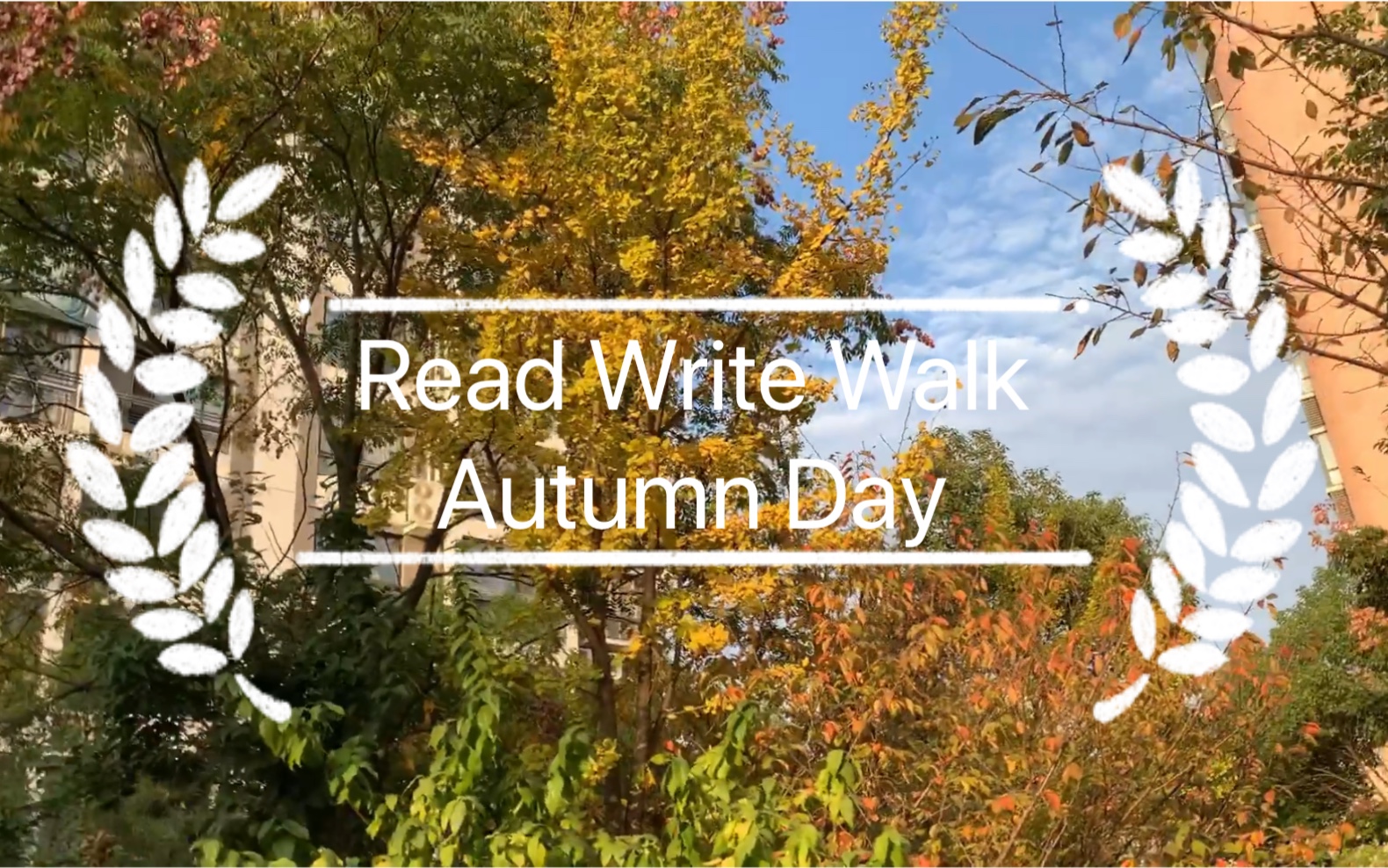 【read write walk】02 autumn day