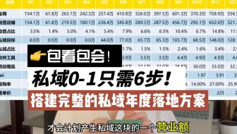 Download Video: 私域代运营公司报价50万+私域年度落地方案都这么写！