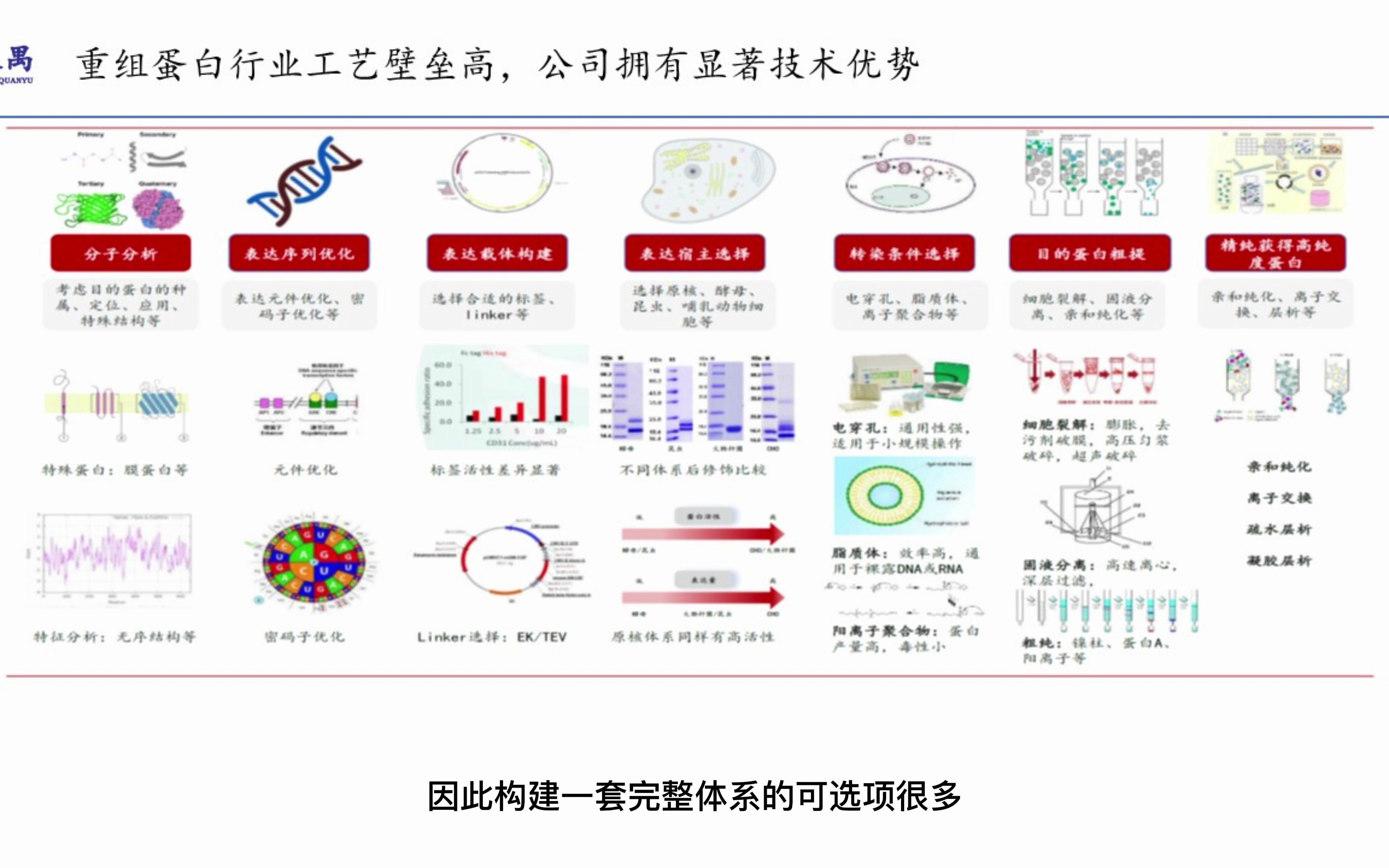 义翘神州:重组蛋白行业领跑者(二)哔哩哔哩bilibili