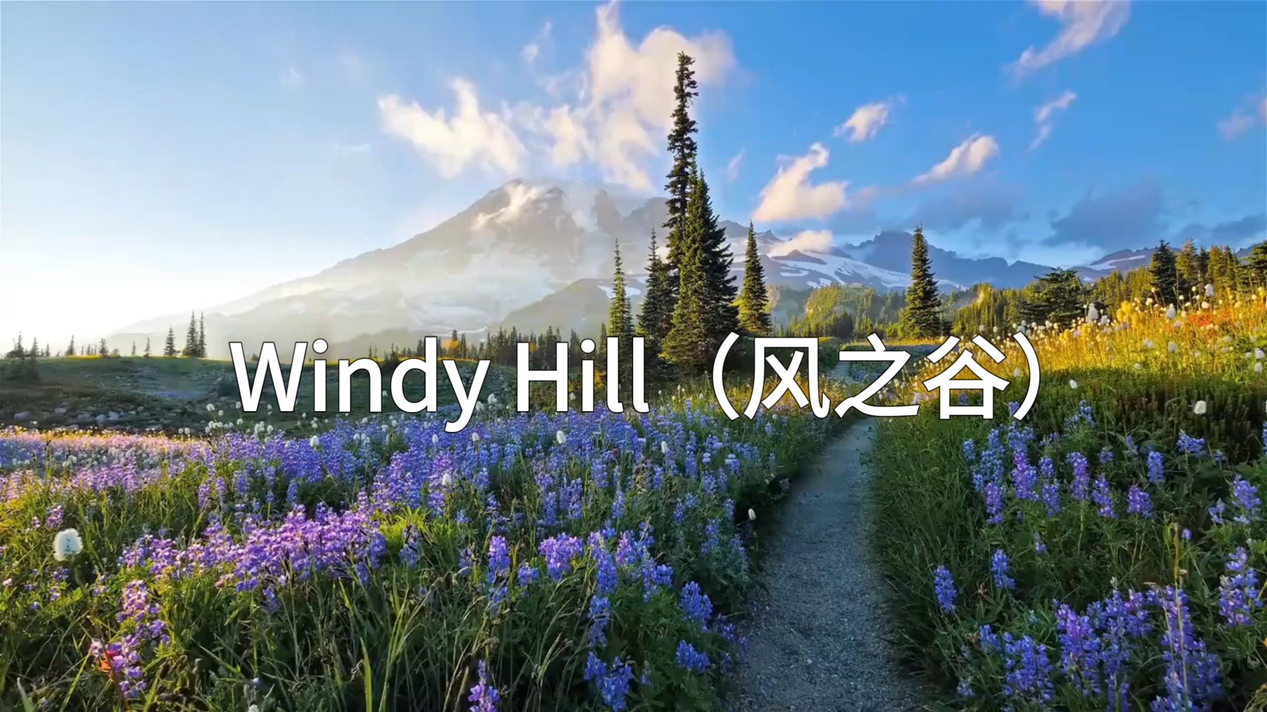 纯音乐分享《windy hill（风之谷）》