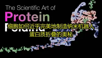 细胞如何近乎完美地制造纳米机器人：蛋白质折叠的奥秘 - NanoRooms