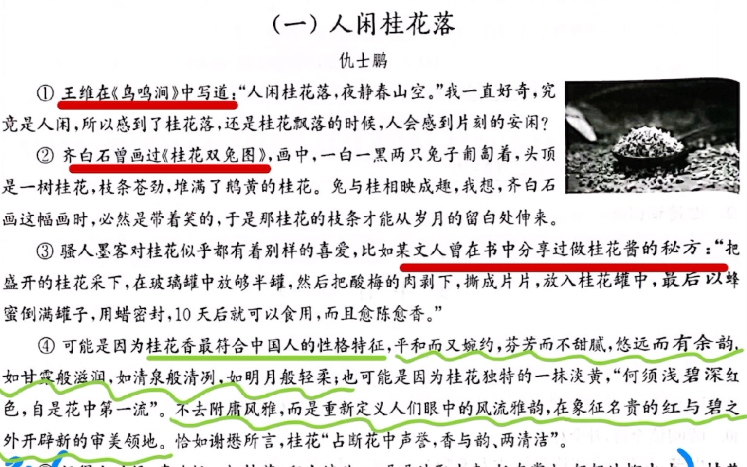 初一阅读理解《人闲桂花落》讲解