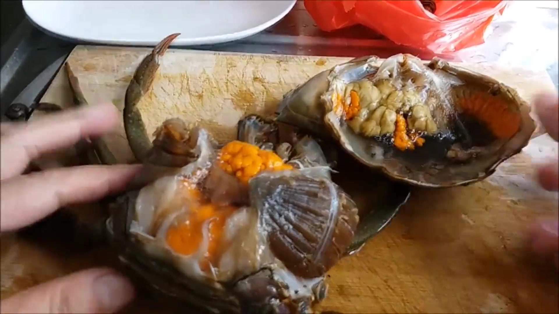 真正的美食,台湾所称的红蟳,大家快看看,等你来吃