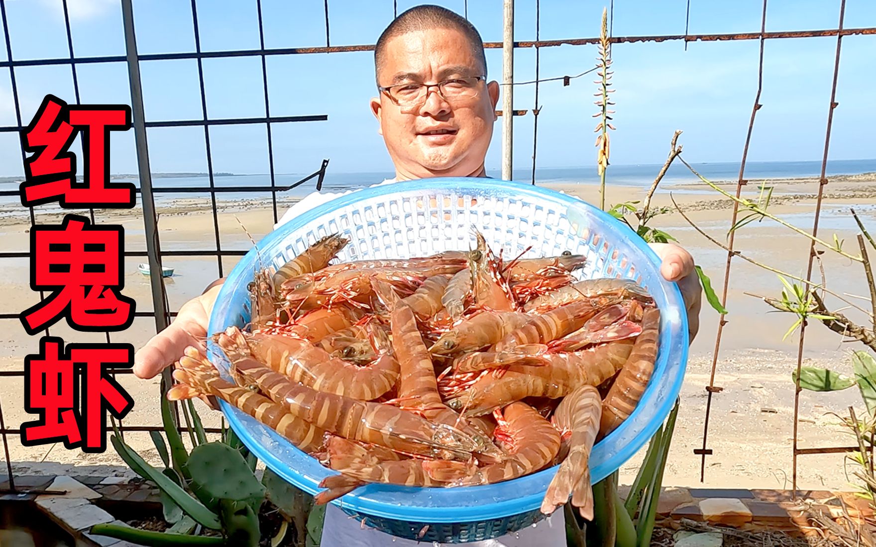 海捕大虾中的极品“红鬼虾”,花1400买了10斤,秘制芥末大虾吃过瘾哔哩哔哩bilibili