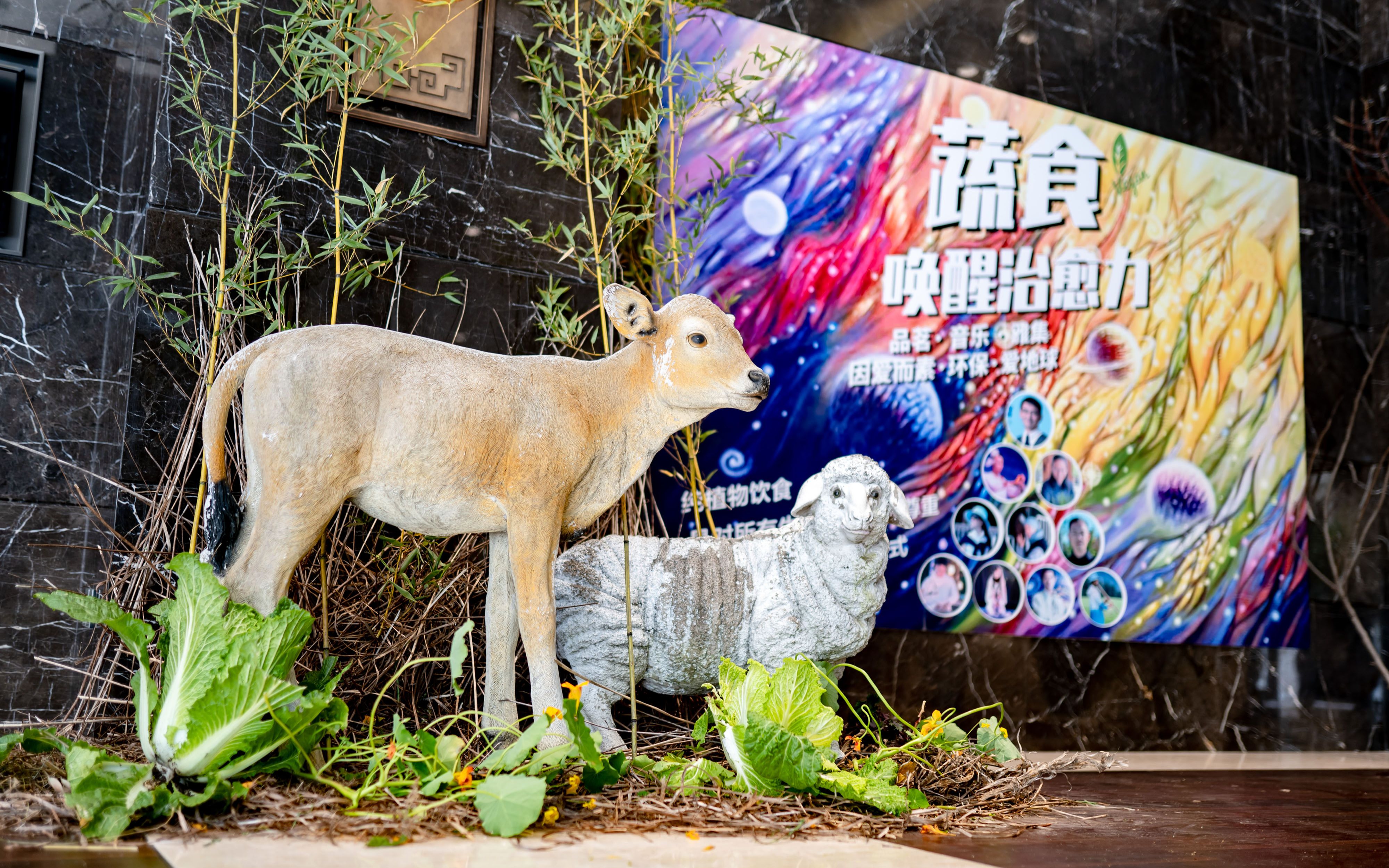 [图]【蔬食唤醒自愈力】——徐嘉大理蔬食茶会分享