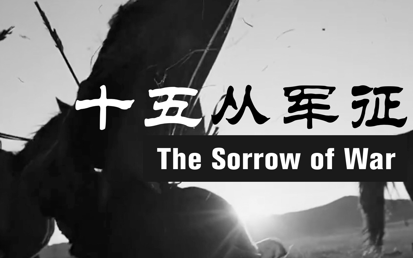 [图]【十五从军征】The Sorrow of War（战争的悲哀）【历史战争画面剪辑】