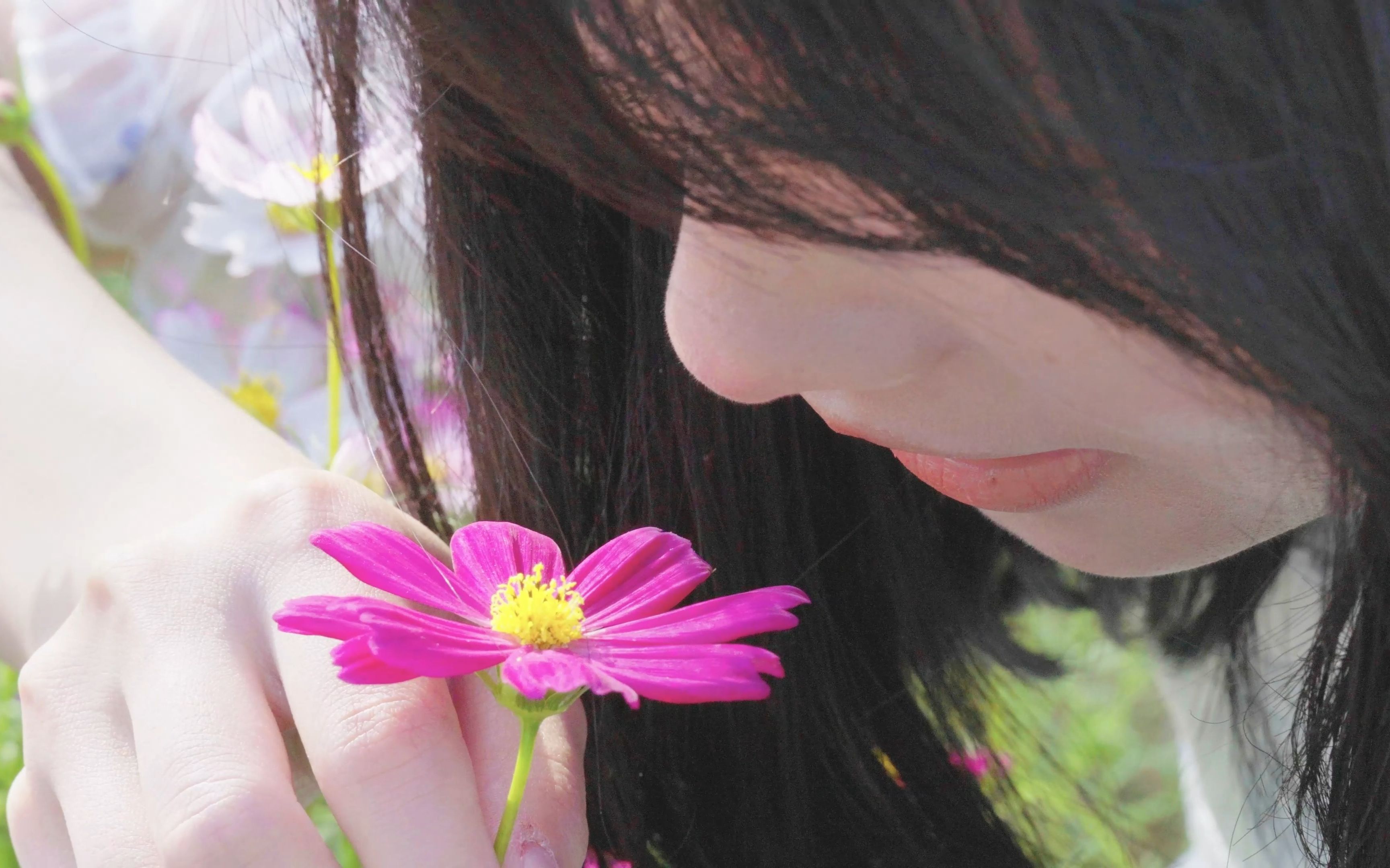 [图]【惠州学院】花开时节又逢君